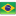 Brazil-Flag-16-RapidVisa.com