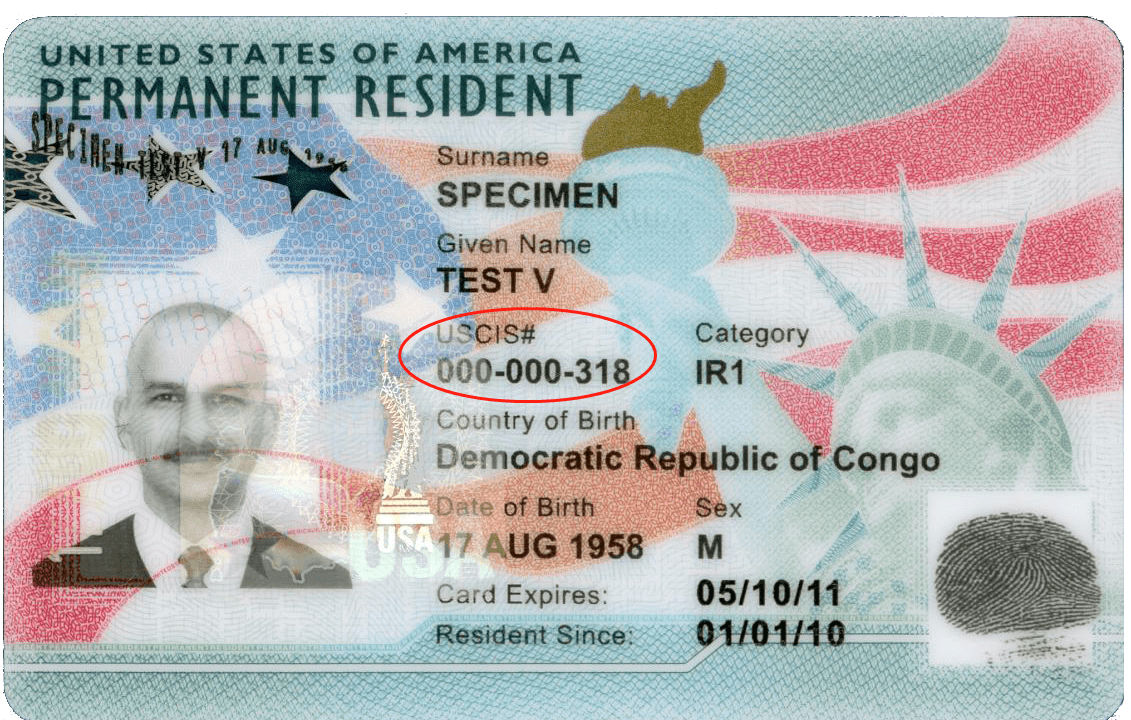 Sample Uscis Receipt Number At Frances Cluff Blog